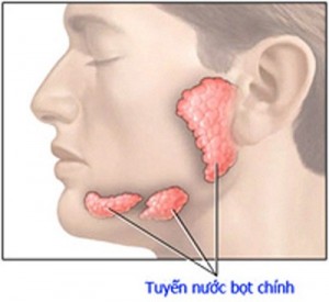 triệu chứng viêm tuyến nước bọt mang tai